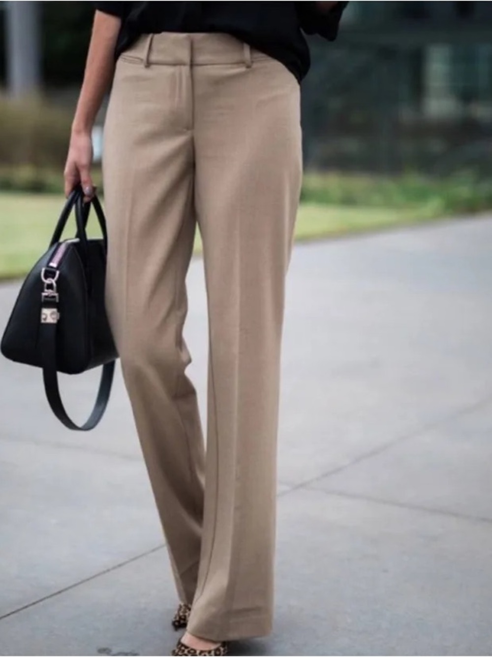 LOFT Wide-Leg Dress Pants